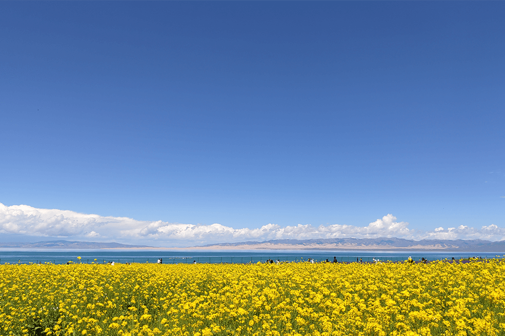 说走就走的青海旅行 | 团建笔记